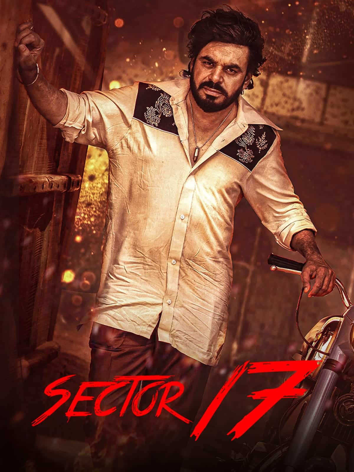 Sector 17 (2024) Punjabi Full Movie HD ESub