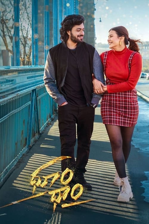 Dhoom Dhaam (2024) WEB-DL [Hindi (ORG 2.0) & Telugu] 1080p 720p & 480p Dual Audio [x264] | Full Movie