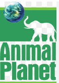 ANIMAL PLANET HD