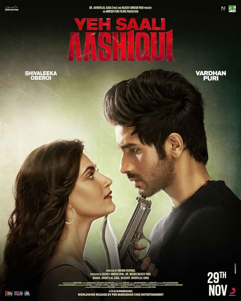 Yeh Saali Aashiqui (2019)