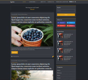 Ignite Blog Theme (Dark Version)