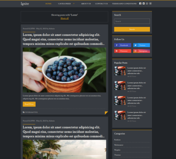 Ignite Blog Theme (Dark Version) - Wapkiz Template