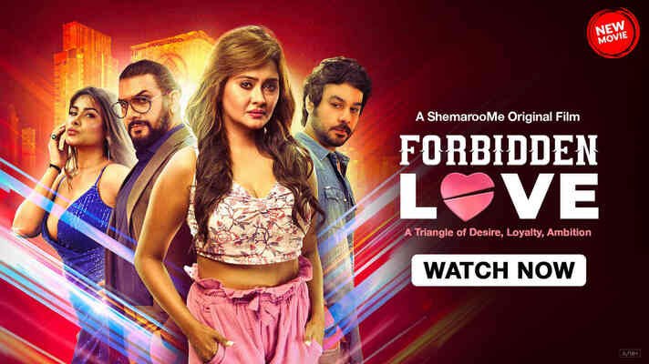 Forbidden Love (2024) Hindi WEBRip