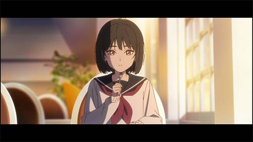 Shoushimin Series Sub Indo