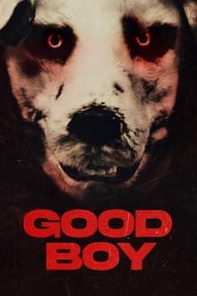 Good Boy (2022) (Hindi + Multi) Dual Audio BluRay