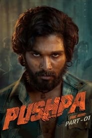 Pushpa The Rise Part 1 (2021) Hindi AMZN WEBRip