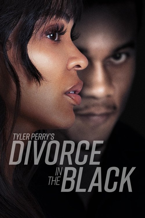Tyler Perry’s Divorce in the Black (2024) WEB-DL [Hindi (DD5.1) & English] 1080p 720p Dual Audio [x264] | Full Movie