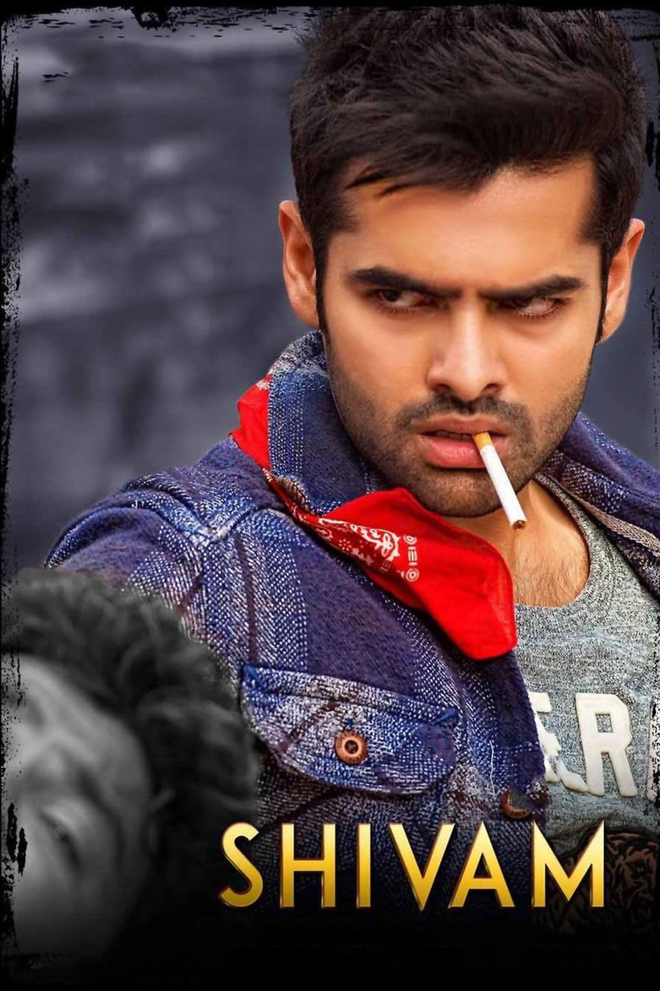 Shivam 2015 Hindi Telugu Dual Audio UnCut Movie HD ESub