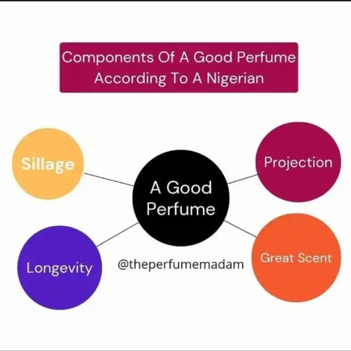 The Art Of Perfume Creation