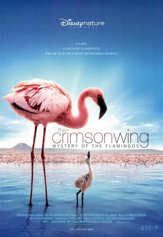 The Crimson Wing: Mystery of the Flamingos (2008) Hindi Dubbed