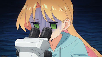 Ruri no Houseki Sub Indo