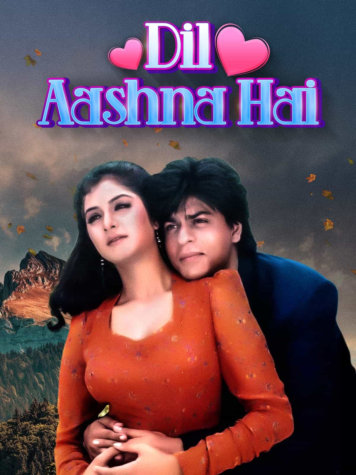 Dil Aashna Hai (1992) Hindi Full Movie HD ESub