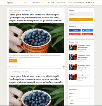 Ignite Blog Theme Wapkiz 