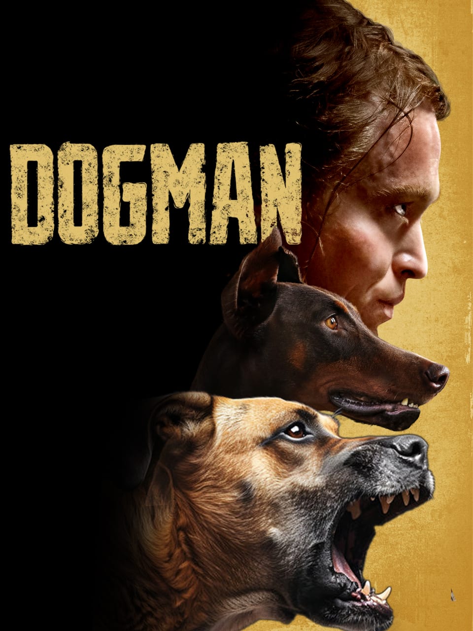 Dogman 2023 Dual Audio Hindi English Movie BluRay ESub