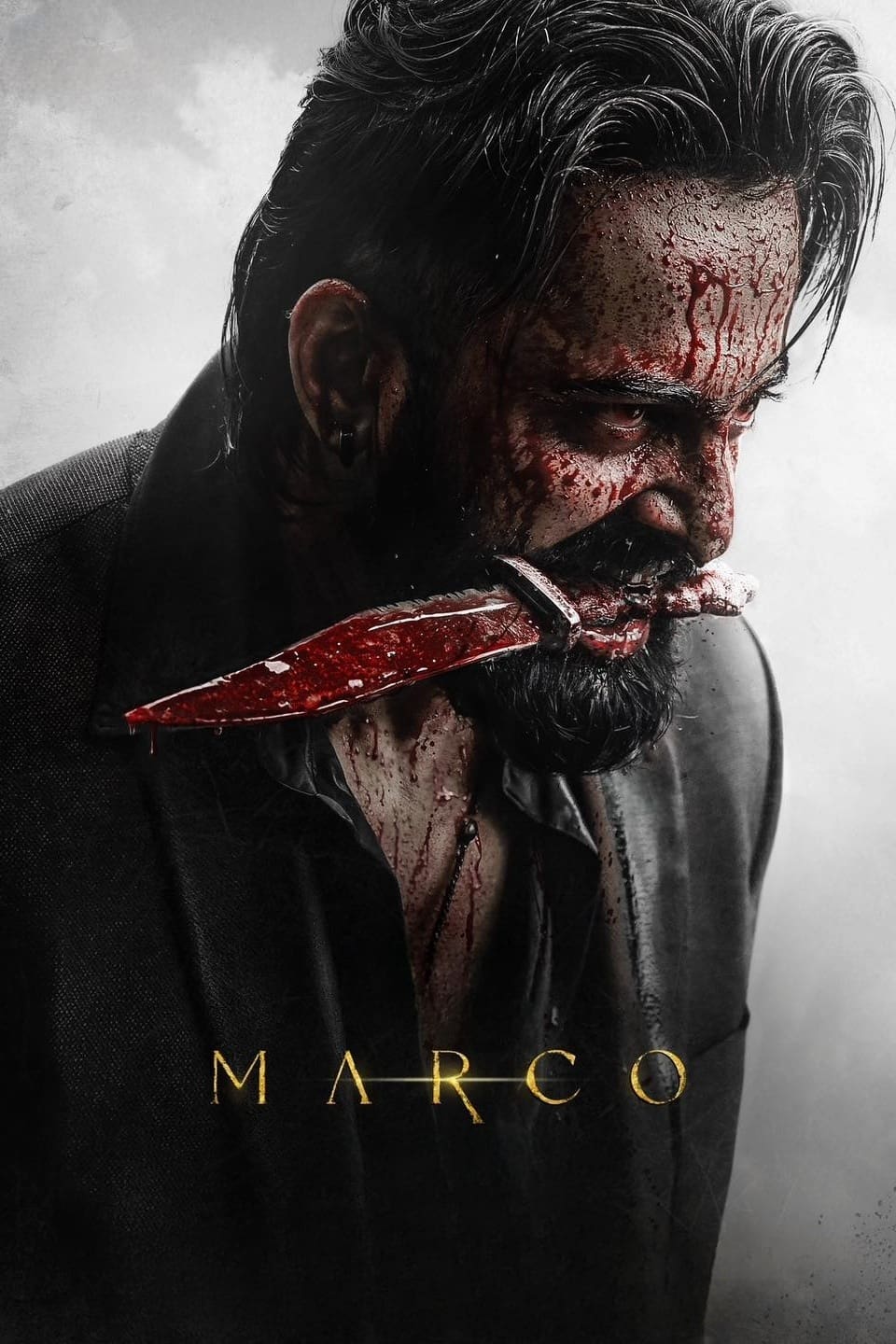 Marco 2024 Hindi Malayalam Dual Audio UnCut South Movie Download Poster