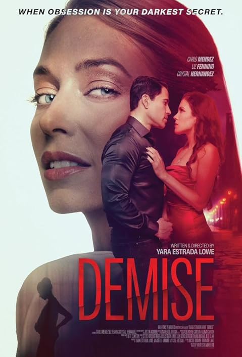 Demise (2024) Hindi Dubbed