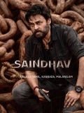 Saindhav (2024) Dual Audio Hindi WEBRip