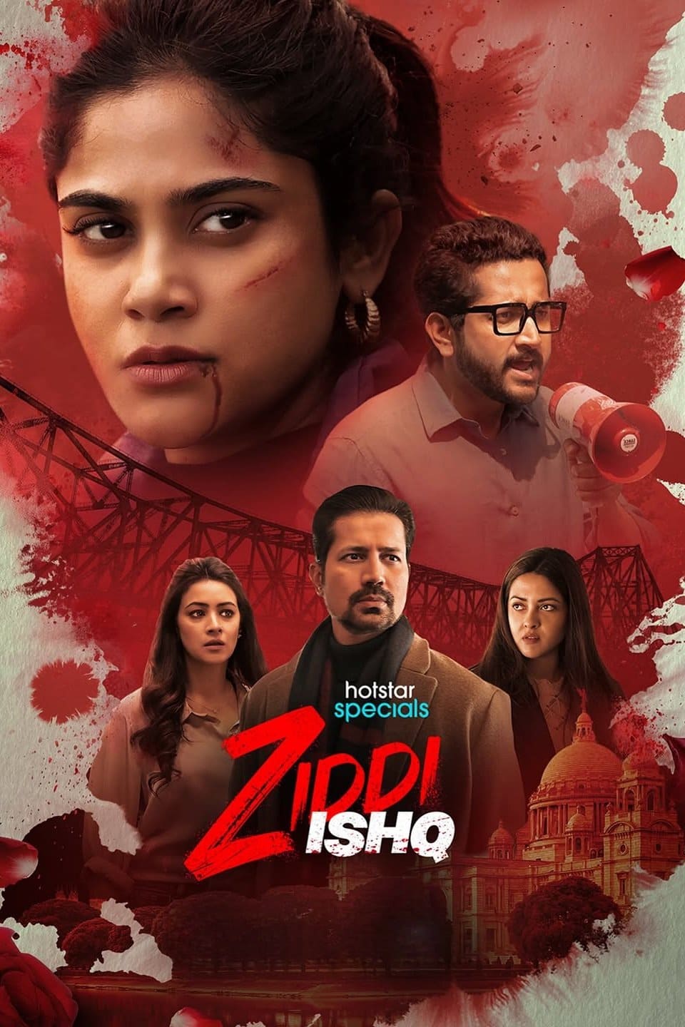 Ziddi Ishq S1 (2025) Hindi Completed Web Series HD ESub