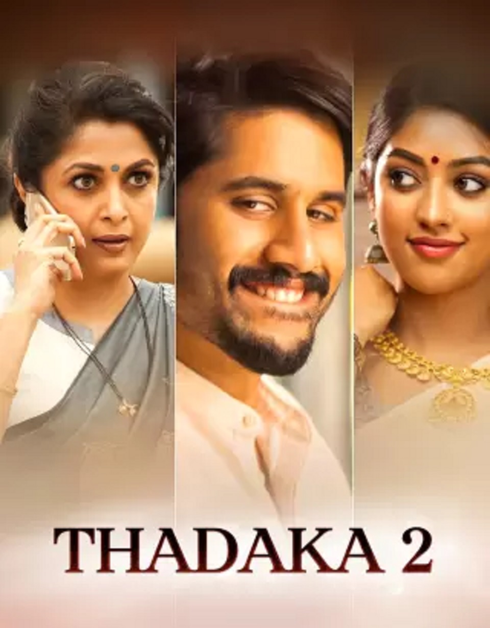 Thadaka 2 Shailaja Reddy Alludu 2018 South Hindi Dubbed Movie HD ESub