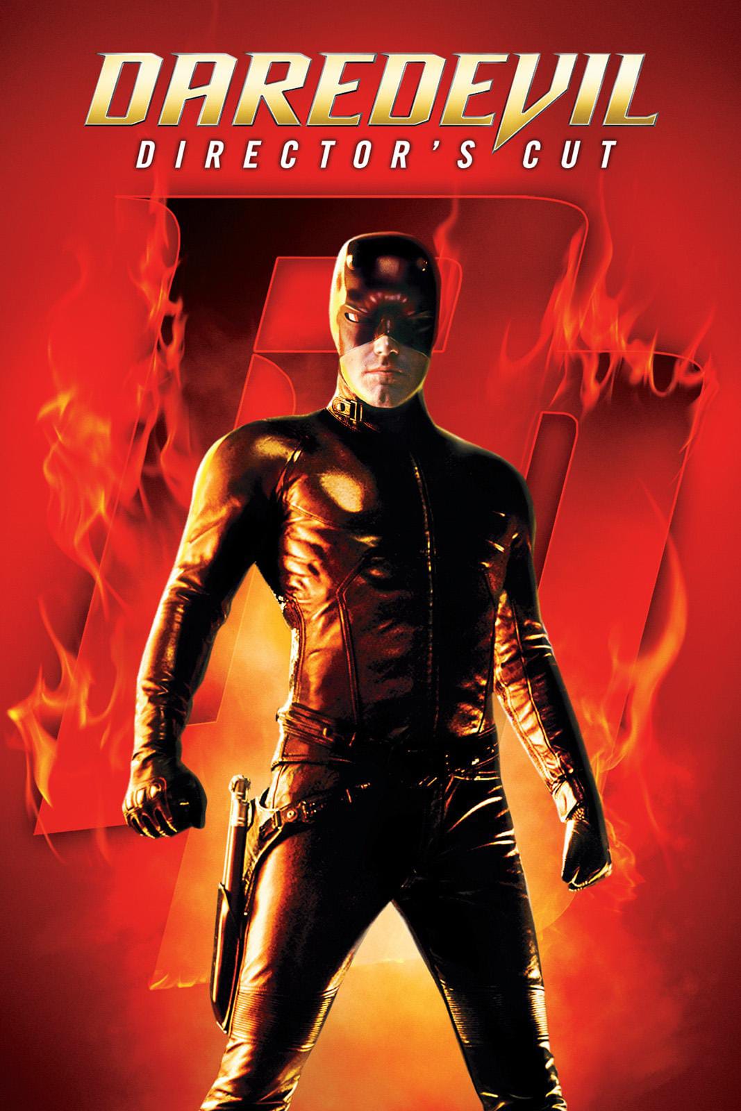 Daredevil (2003) Director’s Cut Dual Audio [Hindi - English] Full Movie BluRay ESub