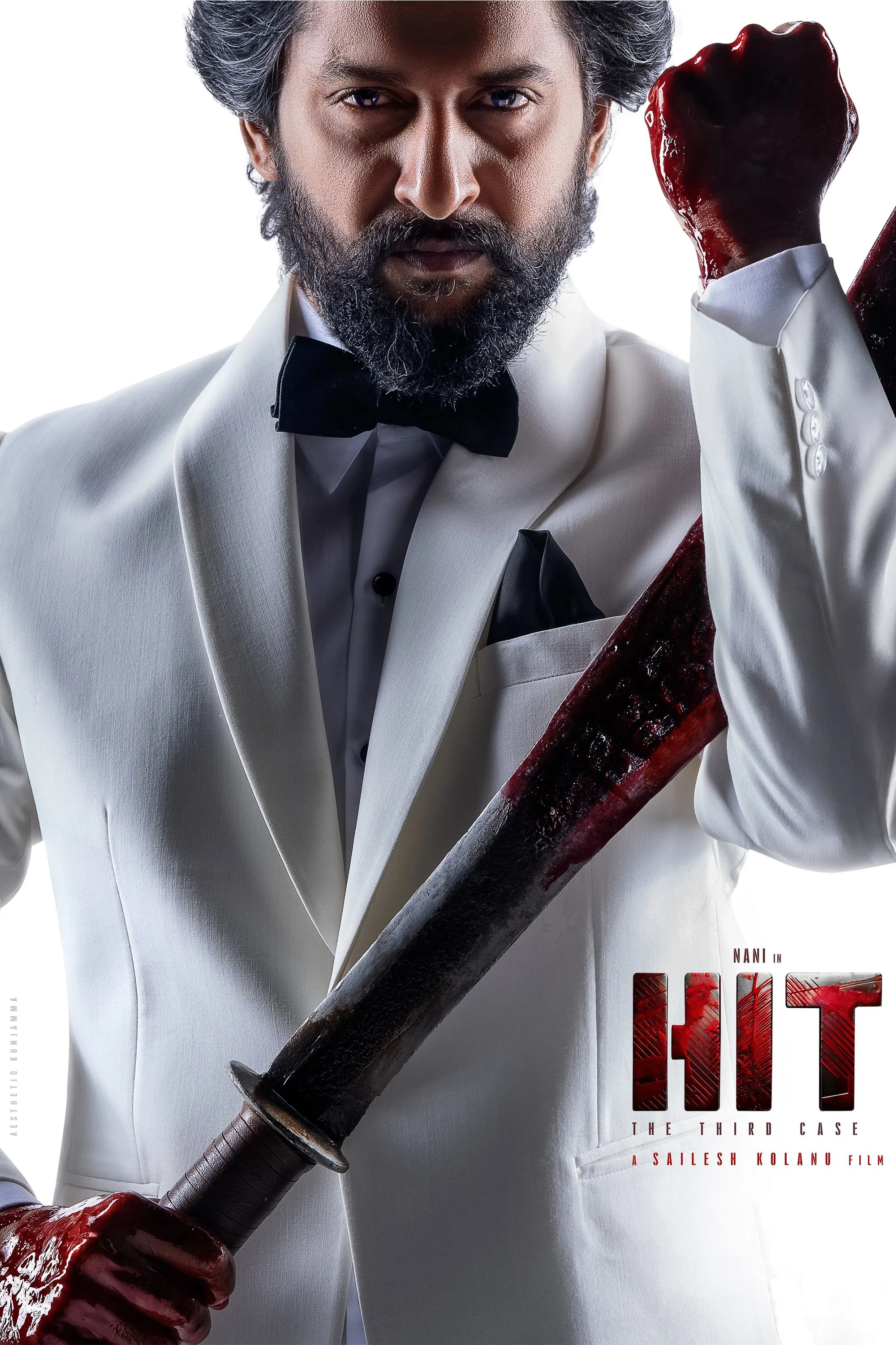 HIT 3 – The Third Case (2025) South Hindi Dubbed Movie HQCam