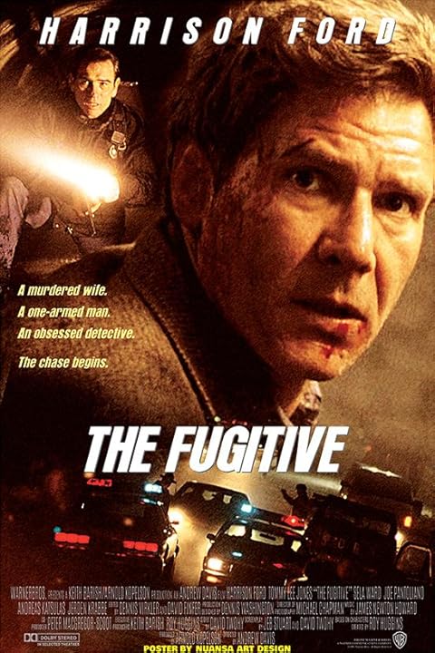 The Fugitive (1993) Hindi Dubbed