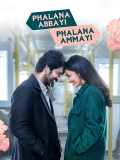 Ek Anokhi Prem Kahani (Phalana Abbayi Phalana Ammayi) (2023) Dual Audio [Hindi-Telugu] WEBRip