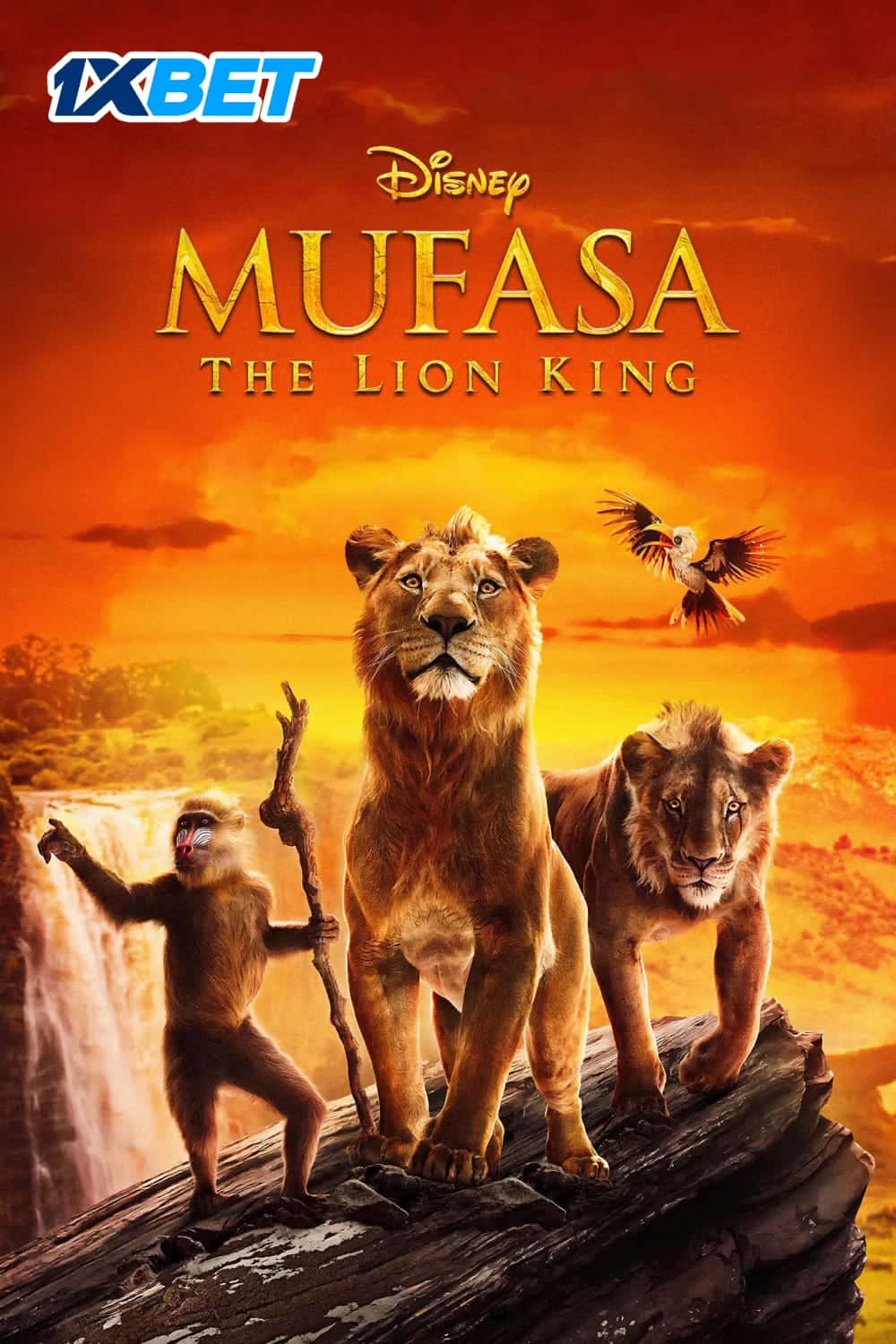 Mufasa The Lion King (2024) Hindi Full Movie HDTS  BabaMovies Hdhub4u Vegamovies