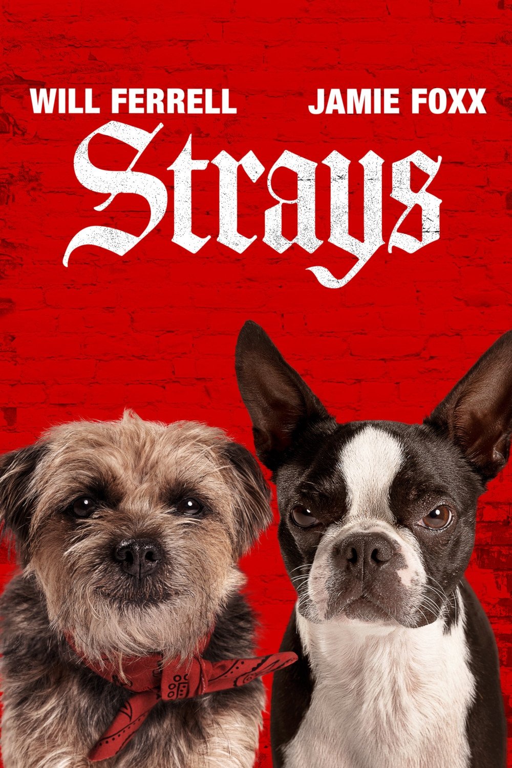 Strays-2023-Hindi-English-Dual-Audio-Hollywood-Movie-BluRay-HD-ESub