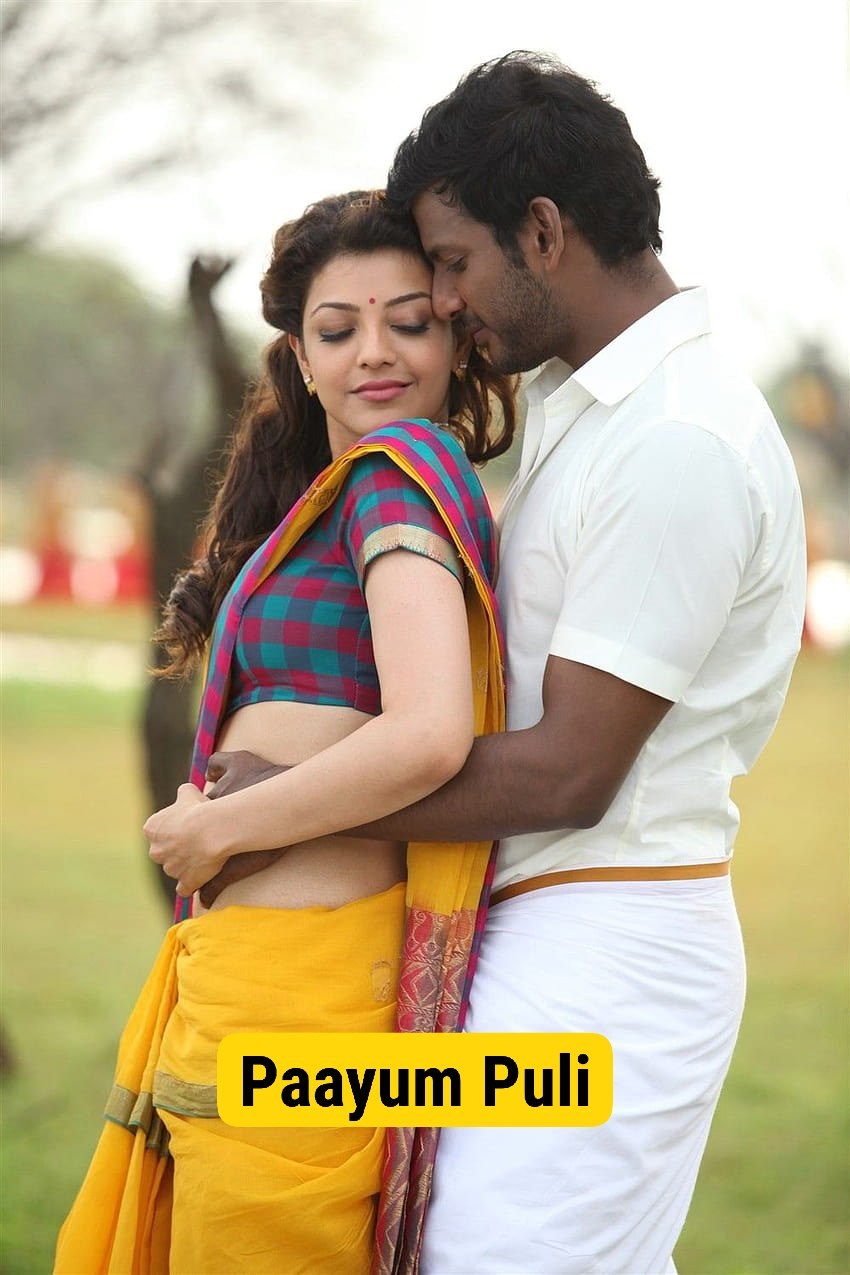 Main-Hoon-Rakshak-Paayum-Puli-2015-Hindi-Tamil-Dual-Audio-UnCut-Movie-HD-ESub