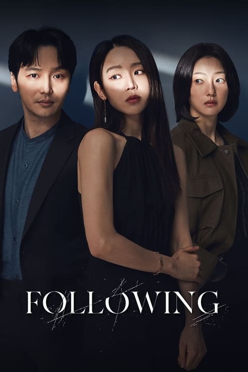 Following (2024) WEB-DL [Hindi (DD5.1) & Korean] 1080p & 720p Dual Audio [x264] | Full Movie