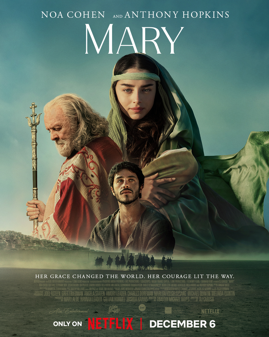 Mary (2024) (Hindi + Multi) Dual Audio WEBRip