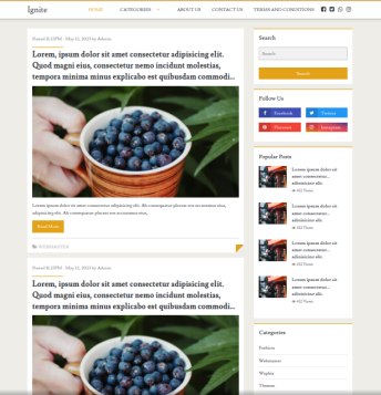 Ignite-Blog wapkiz theme