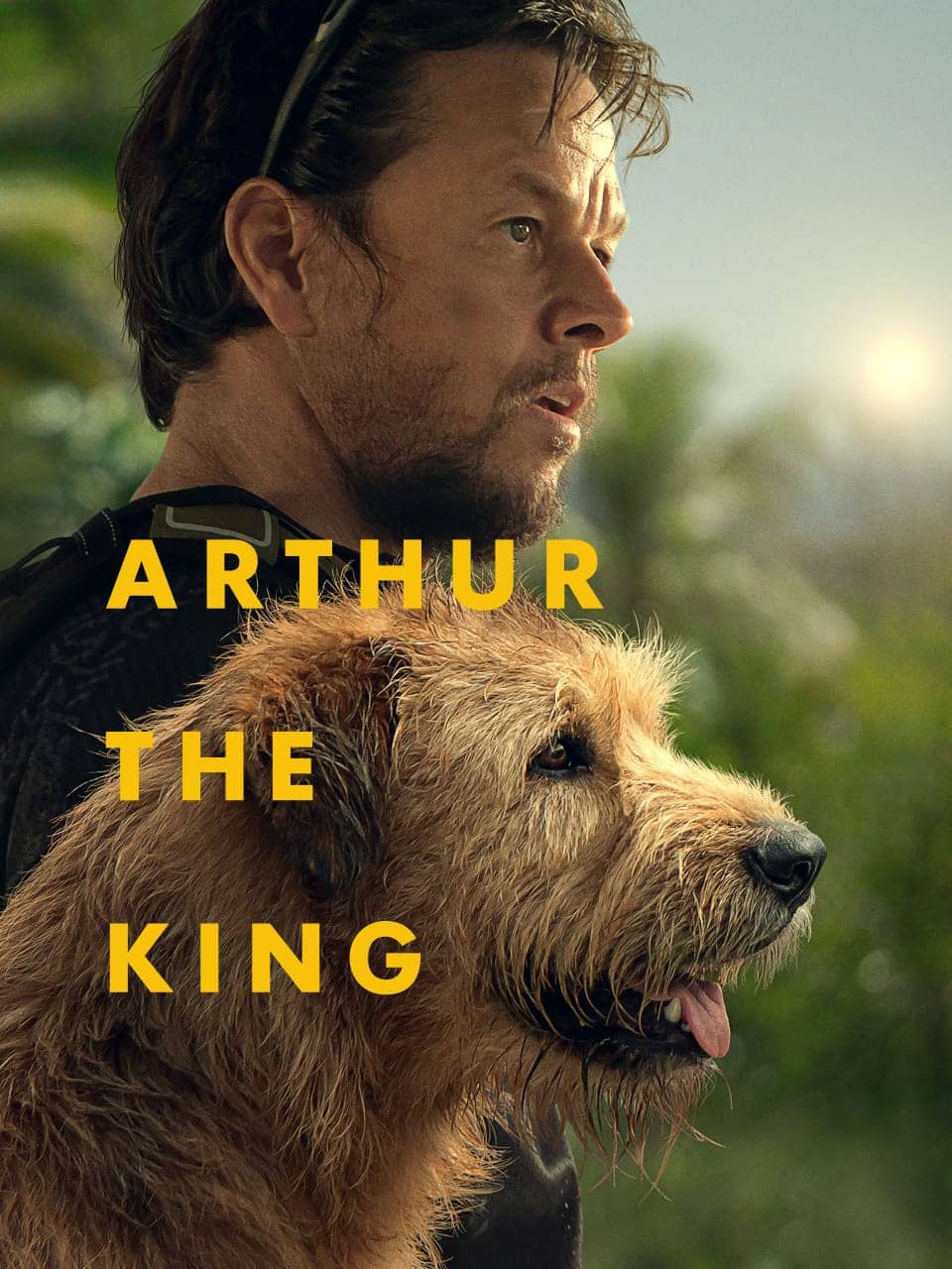 Arthur the King (2024) Dual Audio [Hindi - English] Full Movie BluRay ESub