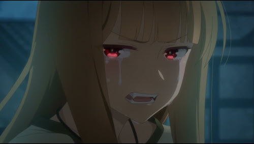 Ookami to Koushinryou: Merchant Meets the Wise Wolf Sub Indo