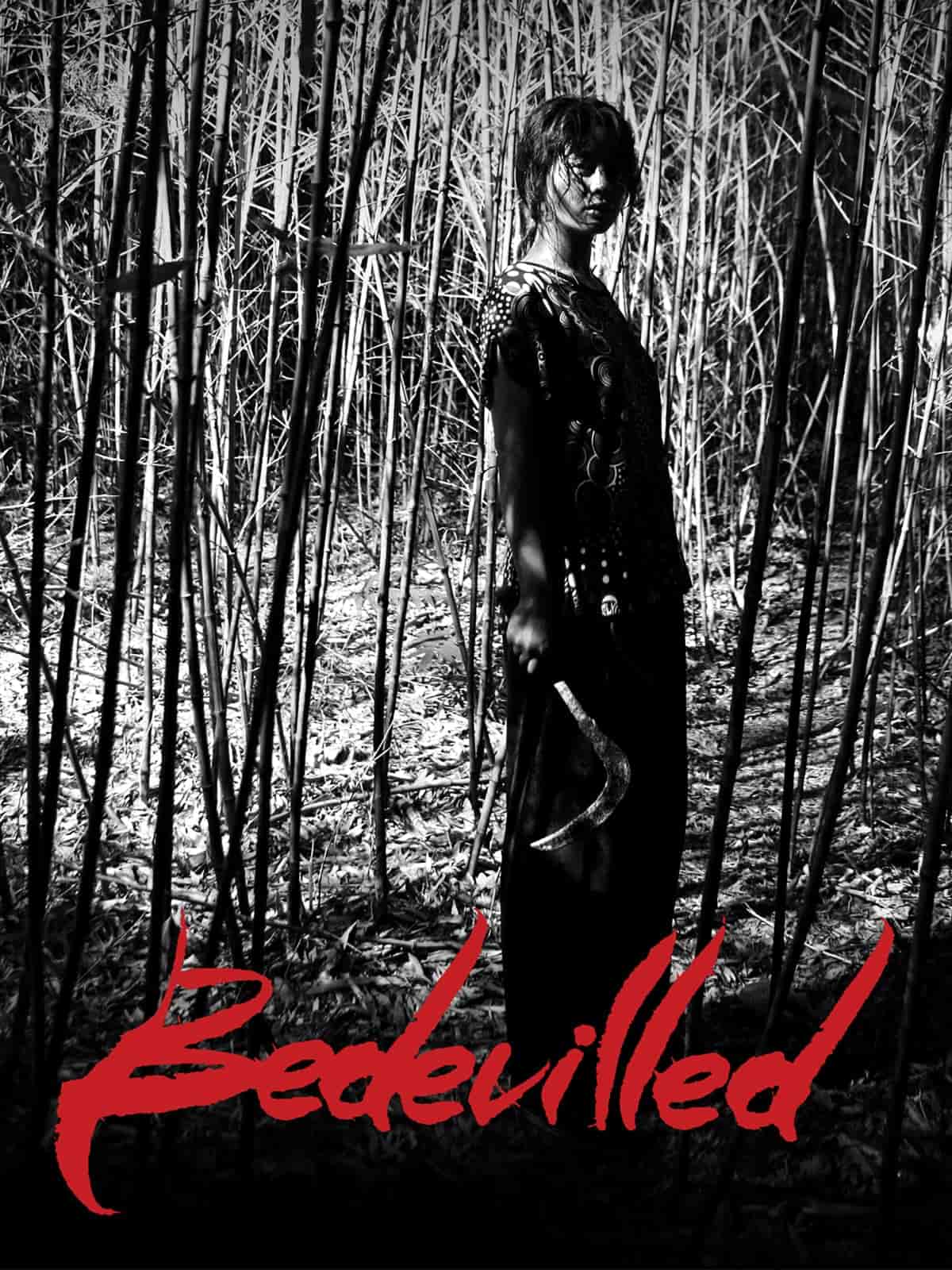 Bedevilled (2010) Dual Audio [Hindi + Korean] Full Movie BluRay ESub