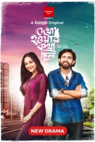 Dekha Howar Kotha Chilo (2024) Bengali Bongo WEB-DL