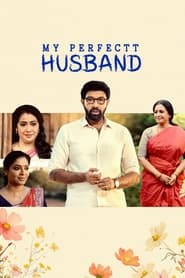 My Perfectt Husband (2024) Hindi S01 WEBRip