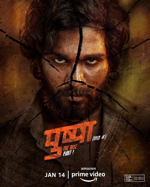 Pushpa-The-Rise-2022-New-South-Hindi-Full-Movie-HD-ESub-(filmysky.in)