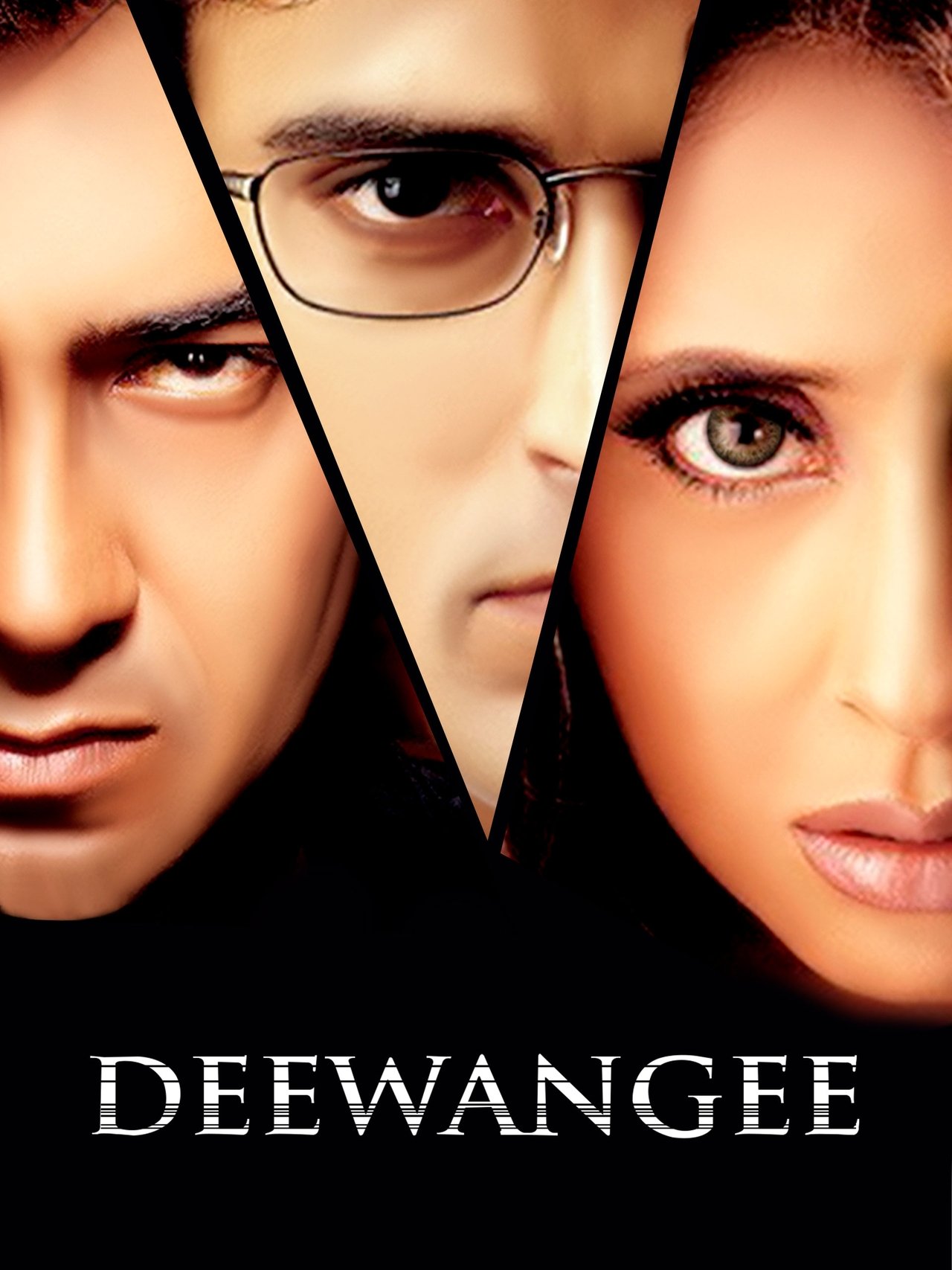 Deewangee (2002) 1080p | 720p | 480p WebRip [Hindi (हिन्दी)] DD5.1 ESub