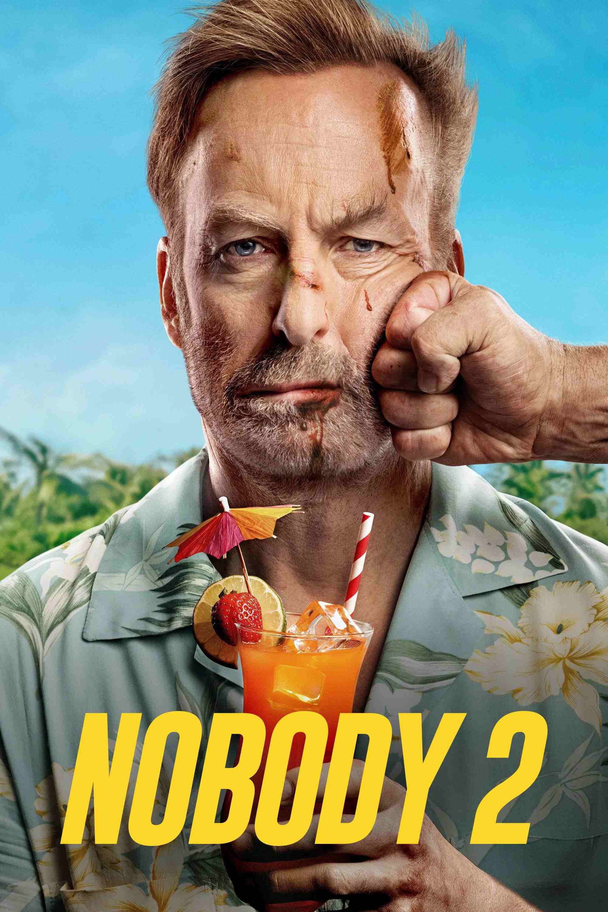 Nobody-2-2015-Hindi-English-Dual-Audio-Hollywood-Movie-HD-ESub