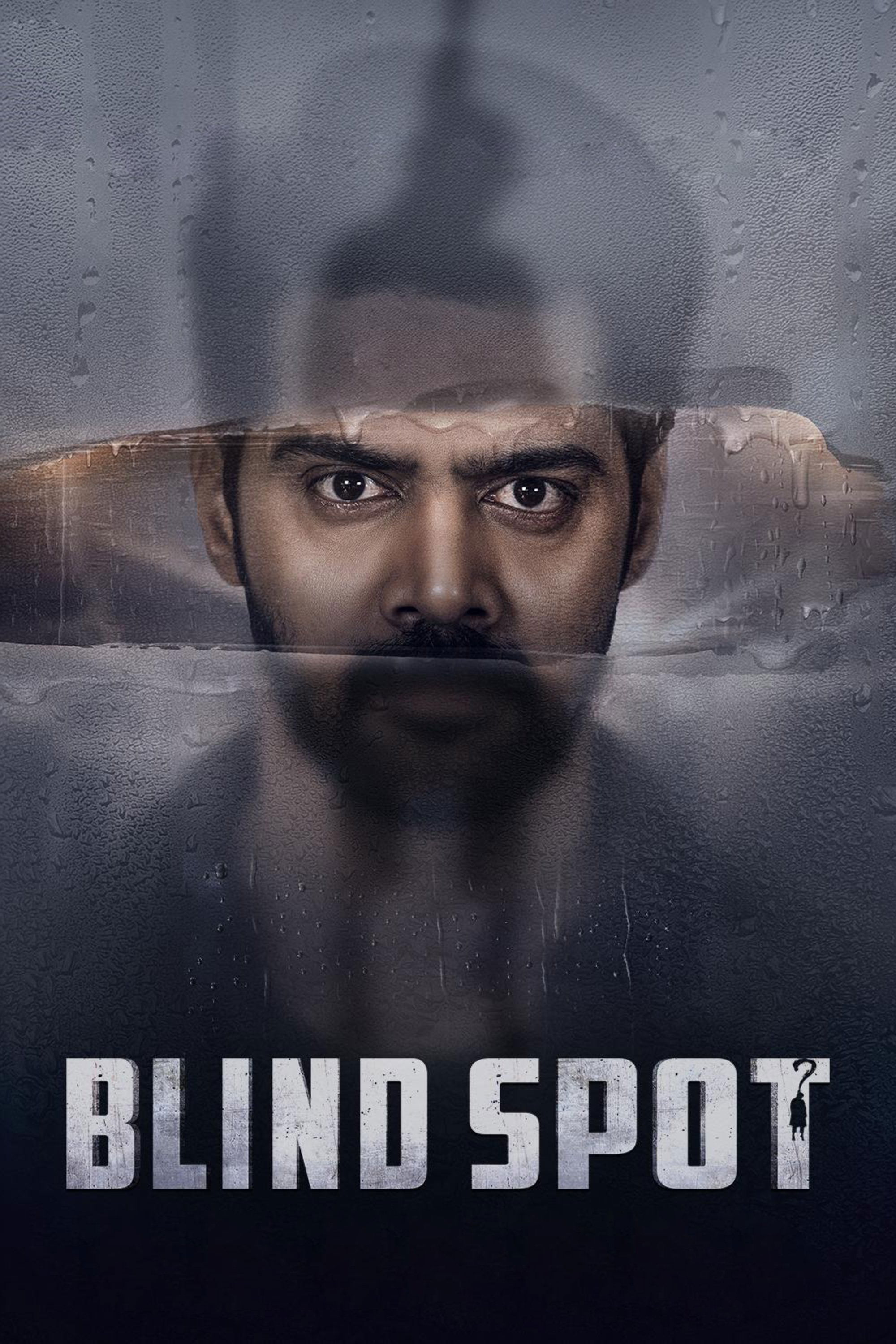 Blind Spot (2025) 1080p | 720p | 480p Amazon WEB-DL [Hindi-Telugu] ESub