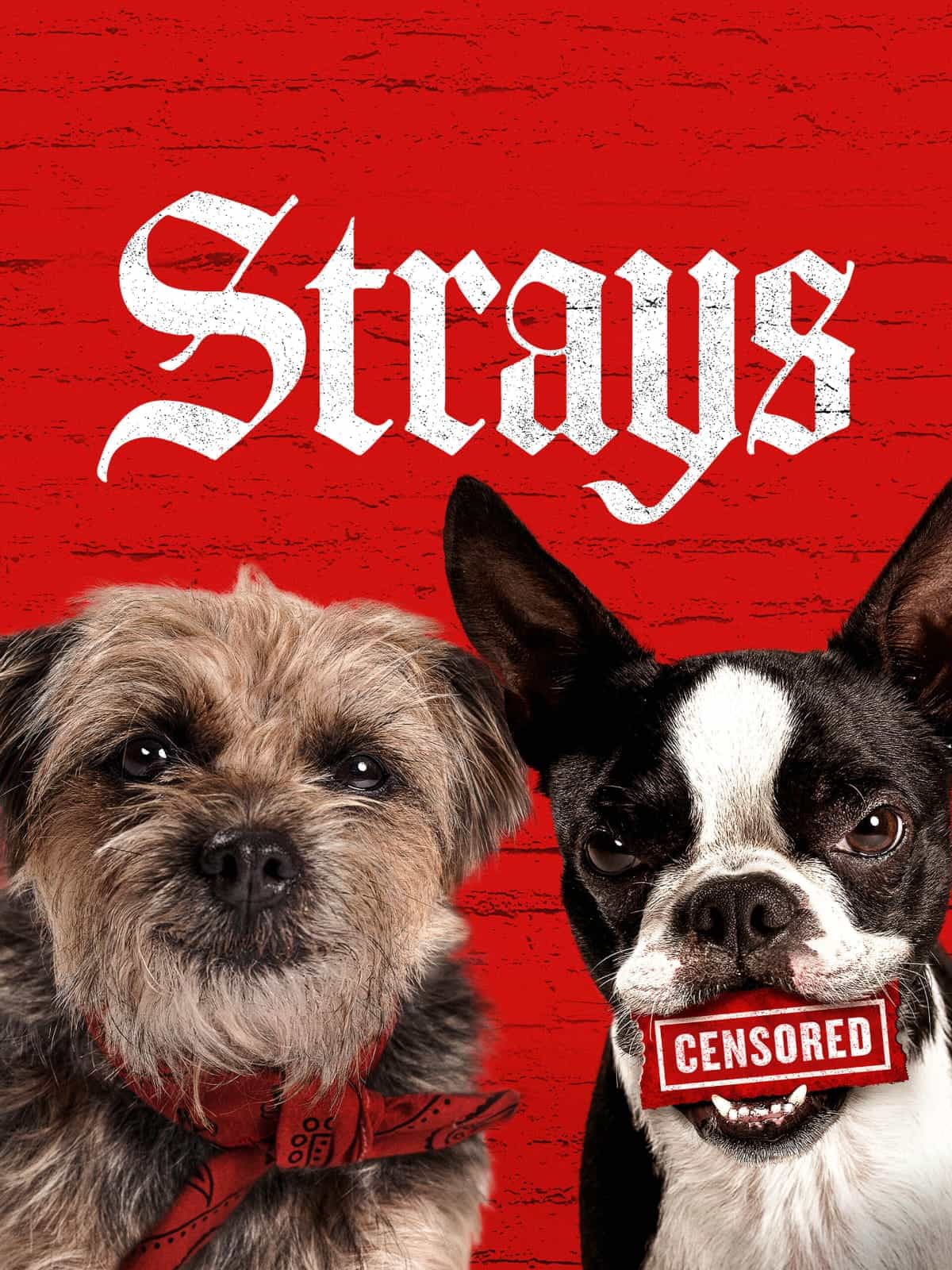 Strays (2023) Dual Audio [Hindi & English] Full Movie BluRay ESub