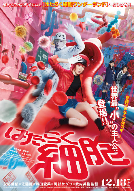 Cells at Work! (2024) Japanese & English Dubbed