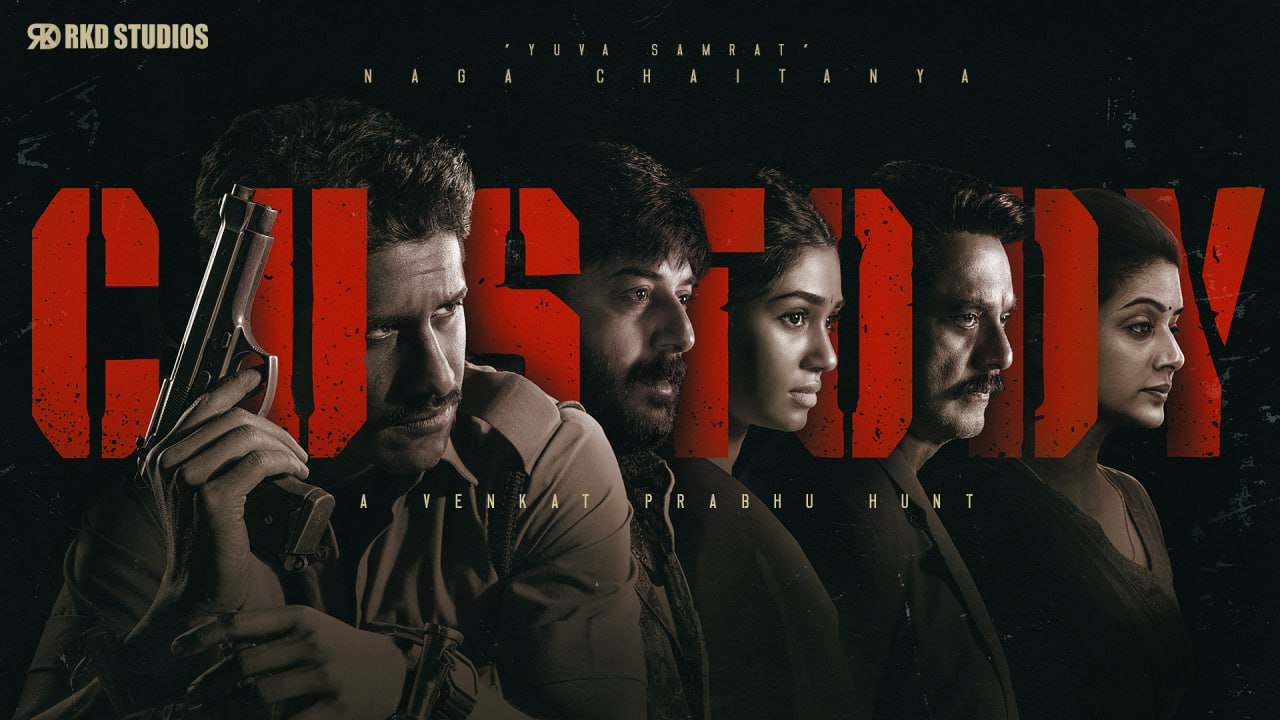 Custody (2023) Hindi AMZN WEB-DL