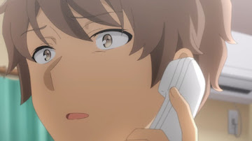 Seishun Buta Yarou wa Santa Claus no Yume wo Minai Sub Indo