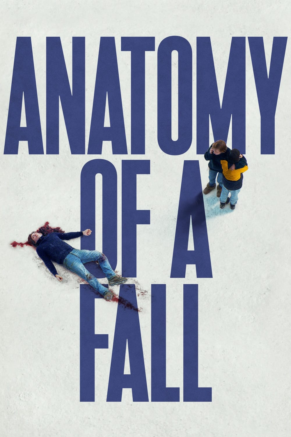 Anatomy of a Fall (2023) Hindi Dubbed Full Movie BluRay ESub