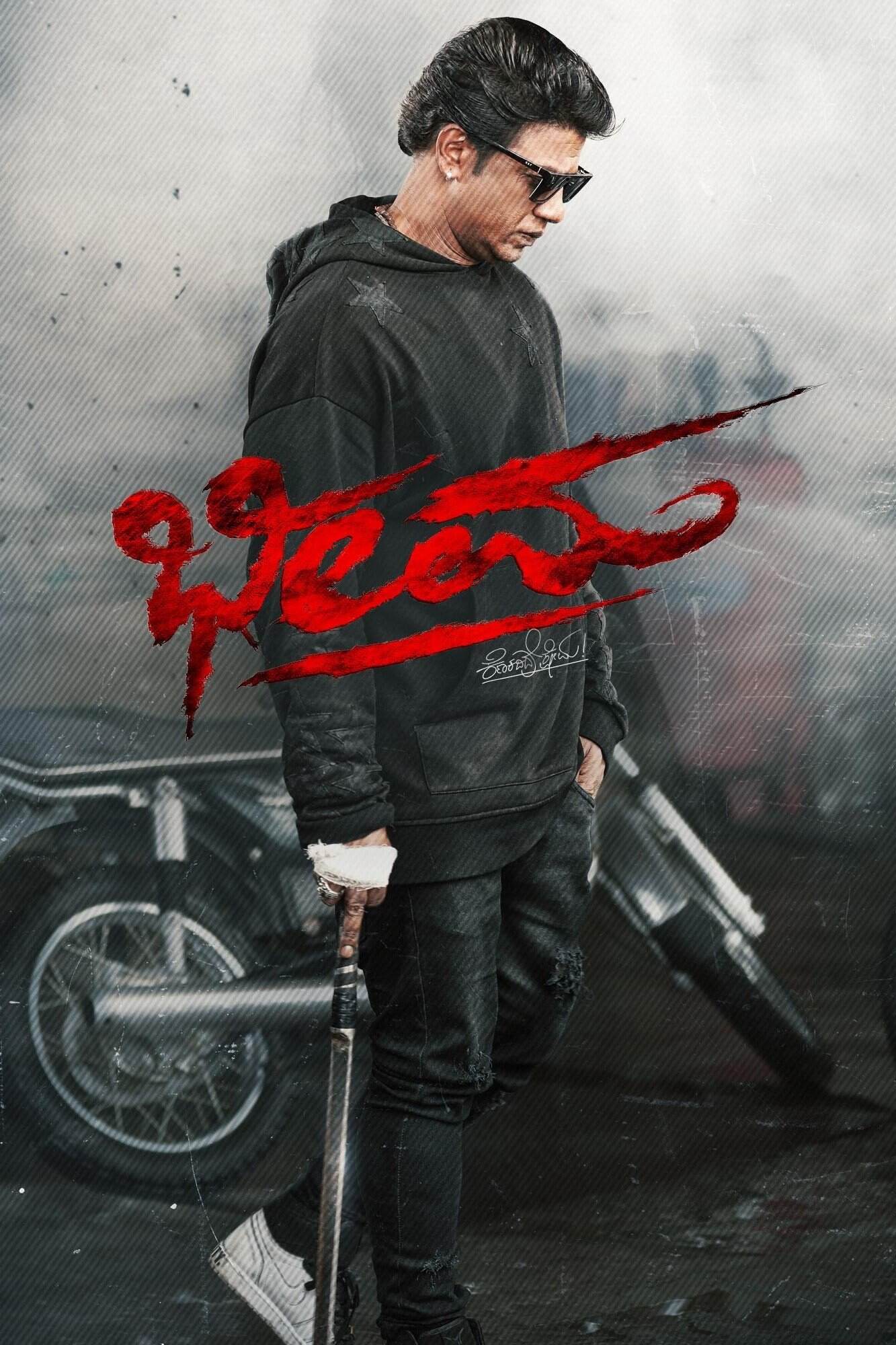 Bheema-2024-Hindi-Kannada-Dual-Audio-UnCut-South-Movie-HD-ESub